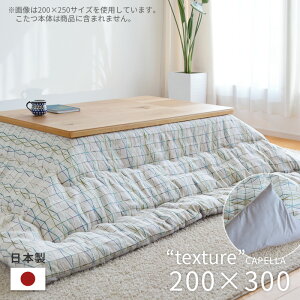 zc |zc Pi ` 200×300cm CAPELLA AC{[ ȃXy[X | |zc k  { g  唻 2023 MC