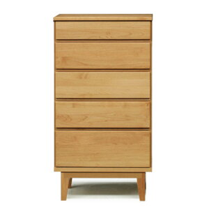 nC`FXg 60cm 5i 60-5 OK-MNC A_[ Rhdグ VR  ^X \y q i` Vv ICdグ Y {  ubNtCf[