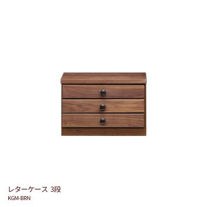 3i ^[P[X o ޒI 38.5cm 25.5cm KGM-BRN EH[ibg  VR i` uE 