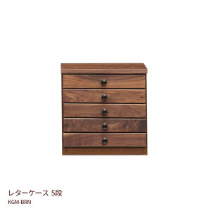 5i ^[P[X o ޒI 38.5cm 38.5cm KGM-BRN EH[ibg  VR i` uE 
