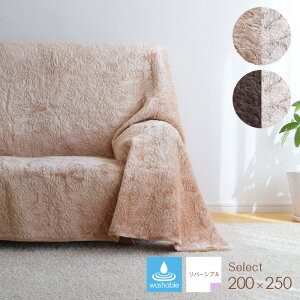 _SSN[|Ώ12/4()20`^ }`Jo[ ZNg 200×250 0556 LgJo[  N Rbg uE T[sN o[Vu k EHbVu \t@Jo[ xbhJo[ 