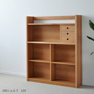 VFt LGY 100cm A_[ {bNXt{ H ot It ICdグ {I I ubNVFt VR Y 