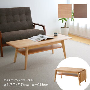 rOe[u Rst40 40cm 120cm Vg Z^[e[u GNXeV uE i` A_[ ؐ VR Vv It o^tCe[u L TCY 