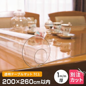 e[u}bg  1mm 2000×2600mmȓ I[_[Jbg TC1-99 ό^ NA I[_[ ό` ~` p` ` ȉ~` ~` p }bg NA[ ʒ e[uNX 