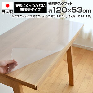 _Gg[P10{9/10܂Ł^  fXN}bg { 120×53cm 120cmfXNΉ ` wK 1mm LGY 񖧒 n H OV[ s53cm rbO[Y