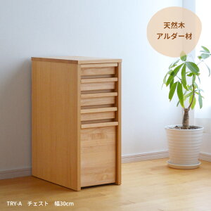 `FXg TRY-CHT-A 30cm 11988 A_[ o [ VR ؐ ȃXy[X RpNg i` Vv TCh`FXg fXNTCh X fXN`FXg [ 4i  2506