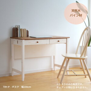 fXN  TRY-DK100-P 100cm pC 14453 zCg ot   VR ؐ Vv  e[N [g[N l炵 