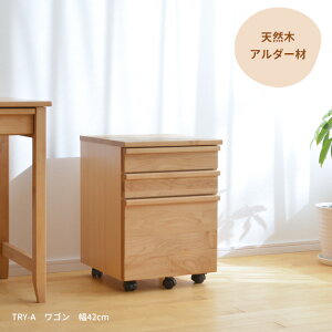 S A_[ 42cm TRY-WG-A 12586 LX^[t VR ؐ i` Vv RpNg fXNS o qǂ  TChS  2506SS