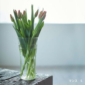 フラワーベース 花瓶 マンス S 24cm ガラス 志成販売 リューズガラス コンパクト おしゃれ 送料無料