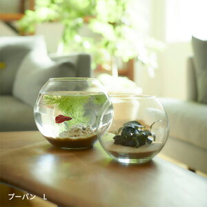 t[x[X ԕr v[p L 16cm KX u̔ [YKX  h[^ ی^ 傫 eE y39z ubNtCf[