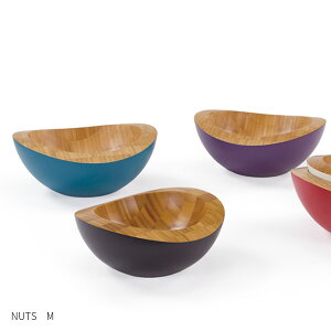 TEORI | {E NUTS M  nF tF ́X  a22cm ؐ | VR {[ H퍑Y {