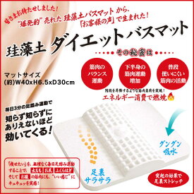 【あす楽】ヒロコーポレーション 珪藻土 ダイエット バスマット(DIET BATHMAT) 約W40xH6.5xD30cm HZ-KDB01