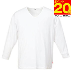 y|Cg20{I11/11܂ŁIzBODY FIREVlbNTVc EDWIN