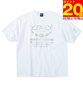 y|Cg20{I11/16܂ŁIz傫TCY Y vgTVc D.A.D ubN 3L JWAuh f SnQ 1278-5268 JWA K  fC[ X^Cb