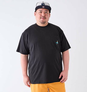 �傫�� �����Y T/C�V���|�P�b�g�t�h�J����T�V���c BEAUMERE 3L 4L 5L 6L 7L 8L �X�~�N��1278-4577- �傫�� ���� �g�b�v�X �J�W���A�� �X�^�C���b�V�� �V���v�� ������� ���K ���S�n���Q �t�ăR�[�f