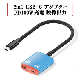 2in1 USB-C 100W PD充電 アダプター 8K 映像出力 USB2.0 480Mbps Type-C 互換アダプター ゲーム機 PC スマホ タブレット VRグラス タイプC