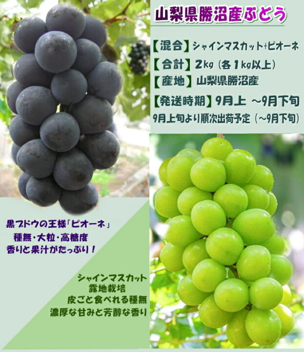 楽天市場】【送料無料】”シャインマスカット＆ピオーネ” 山梨県 勝沼県 