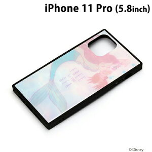 fBYj[ iPhone11 Pro (5.8C`) KXnCubhP[X AGZoX`@PG-DGT19A07ARLy[֑z