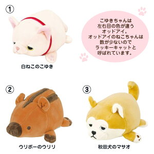 楽天市場 マシュマロアニマル マスコット ぬいぐるみ 519 11 519 13 519 42 713 31 713 41 713 74 動物 ぬいぐるみ かわいい もっちり もちもち ふわふわ ギフト プレゼント あす楽対応 ビッグスター ネットショップ