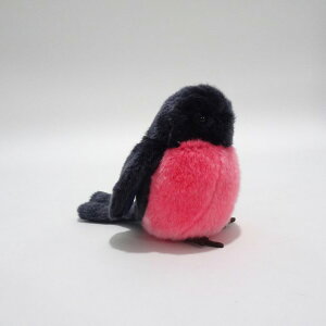 楽天市場 ぬいぐるみ101 鳥のぬいぐるみ ピンクロビン Sm316 自然 生き物 リアル 鳥 トリ ぬい撮り Sns インスタ映え ぬいぐるみ ギフト プレゼント あす楽対応 ビッグスター ネットショップ