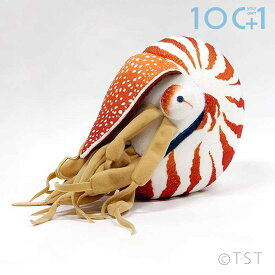 楽天市場 オウムガイの通販