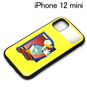 fBYj[iPhone 12 minip nCubh^tP[X hih_bN PG-DPT20F11DNDy[֑z