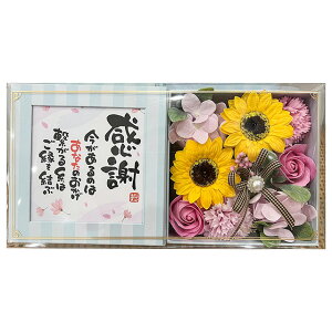 Ђ܂|G{bNX sN  803222oXtOX/t[Mtg//Ό/F///AW/v[g/蕨/Mtg