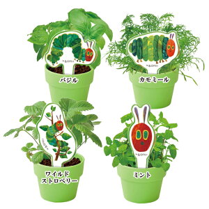 ͂؂ނ ĂJvZ n[u S4 Pi̔ HP-03GbNEJ[/G{/ނ/CeA/RNV/͔|Zbg/~jTCYyAEgbgz