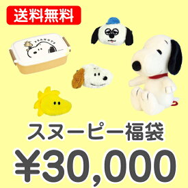 【送料無料】 スヌーピー 3万円福袋（福箱）【あす楽対応】