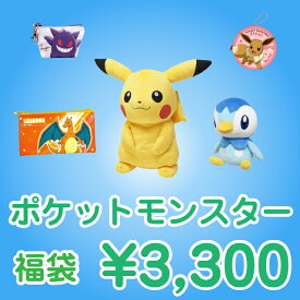 ポケットモンスター 3300円福袋（福箱）【あす楽対応】