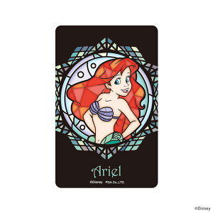 fBYj[vZX XehOX XebJ[ ICJ[hΉ PG-DSTK3