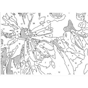 【送料無料】◆ナカバヤシパズル絵画絵具・筆付きF113
