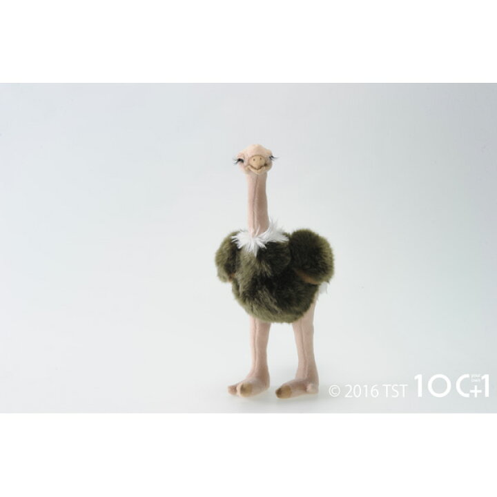 楽天市場 ぬいぐるみ101 鳥のヌイグルミ スタンディングバード ダチョウ Sm018 動物 ぬいぐるみ かわいい 抱きぐるみ ギフト プレゼント あす楽対応 ビッグスター ネットショップ