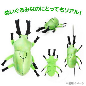 楽天市場 在庫限り 昆虫マグネット ニジイロクワガタ Sb005 昆虫 ぬいぐるみ マグネット 磁石 リアル ギフト プレゼント あす楽対応 ビッグスター ネットショップ