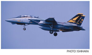 TPA-30 1/48 AJCR F-14A gLbg VF-21 t[T[Y ؊n vbc vf