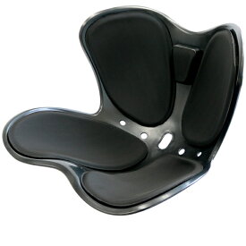 姿勢サポート 椅子 セシルシェイプ 姿勢矯正 骨盤 サポートチェア 骨盤矯正 腰痛 猫背 ゆがみ 改善 グッズ 腰椎支点設計 美姿勢 座るだけ イス 座椅子 クッション エアホール 通気孔 ムレを軽減 シートチェア 歪み 矯正 安定 高弾性 体圧吸収