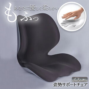 T|[g`FA X x[ p ֎q NbV  T|[gNbV oX`FA ֎q w\ Ջ  Lw P ObY Xg[glbN ̕S y p