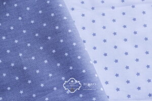  NX@MINI STARiS2Fj z n ق  ct  bXobO  w zn X^[ CeA Jgi[W Gv J[e e[uNX z}XN 킢