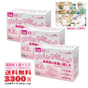 y100×3Zbgz2w}XN Ɩp 100 ߃TCY sN 3ZbgqryrzE  Hp}XN Lb`p HX 2w\ \tgn   90×162mm ɂ