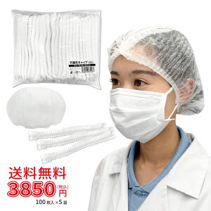 y100×5܃ZbgzsDzLbv zCg 100[]y BIHOU  ĝ jp t[TCY Ɩp wALbv N[Lbv Xq H X HX HiH 