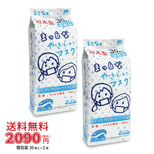 y2܃Zbgzlp}XNij30@[]y BIHOU { sDz}XN ĝ t[TCY lp M[ jp jp w ʊw  S ɂ