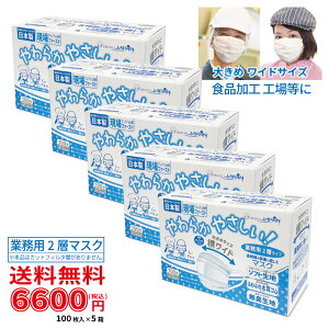 【100枚入×5箱セット】〈横ワイドサイズ〉2層マスク 業務用 100枚入 ホワイト 5箱セット〈送料無料〉【ビホウ 美保 工場用マスク キッチン用 飲食店 男性用 大きめサイズ 90×192mm 2層構造 ソ