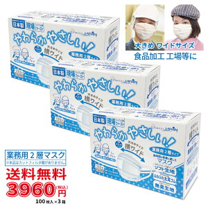 y100×3ZbgzqChTCYr2w}XN Ɩp 100 zCg 3ZbgqryrzE  Hp}XN Lb`p HX jp 傫߃TCY 90×192mm 2w\ \t