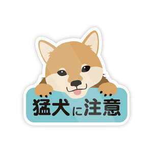 킢Ҍɒ XebJ[ hEϔM V[