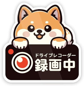  ^撆 hCuR[_[ hƃJ  Ck XebJ[ hEϔM V[