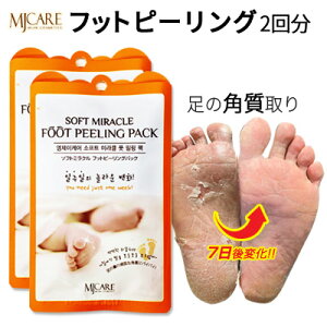 H SALE Z[bPAIZbgŔĂIy1000~ |bLzy[ zy؍RXzwMijinE~WEMJ Carex \tg ~N@tbg() s[O pbN 