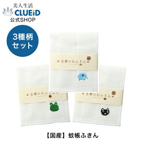 y25ESi10%offN[|!Lzy 3 ZbgzMtg ӂ ᒠӂ ޗǁyÓŝӂ 3ރZbgiEE˂jzᒠ ӂ ӂ H ӂ