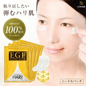 【年度末 ポイント10倍セール!28日0:00～】【4個 セット お得】egf ポイント ショット シート マスク フェイス 目元 針 パック マイクロニードル ニールドパッチ 男性 しわ ピーン【EGF ポイント ショット 4袋組（2枚入×4セット）】グロスファクター