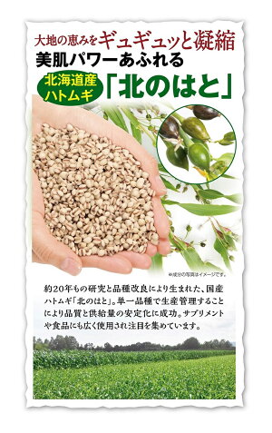 ȯ�ڽ����ϥȥ८��������30ml