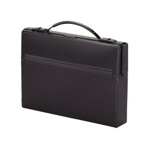 _XobO ubN qgu A4  Y fB[X gbvC^Cv  t@C rWlX A-660-24 4903419828257